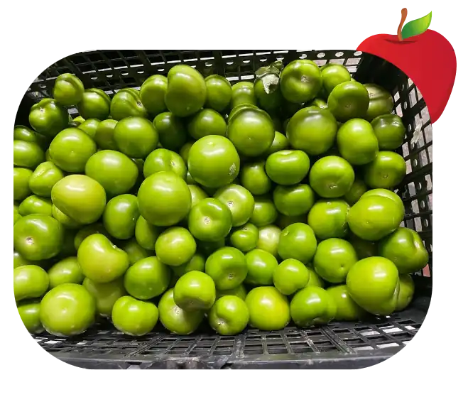 Cabrera Produce Services Inc.