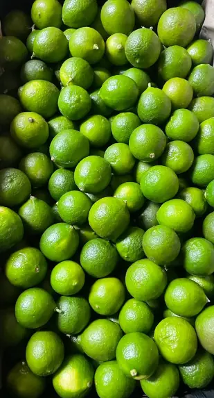 Cabrera Produce Services Inc.