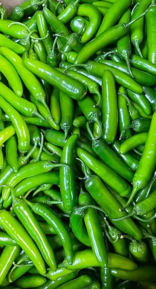 Cabrera Produce Services Inc.